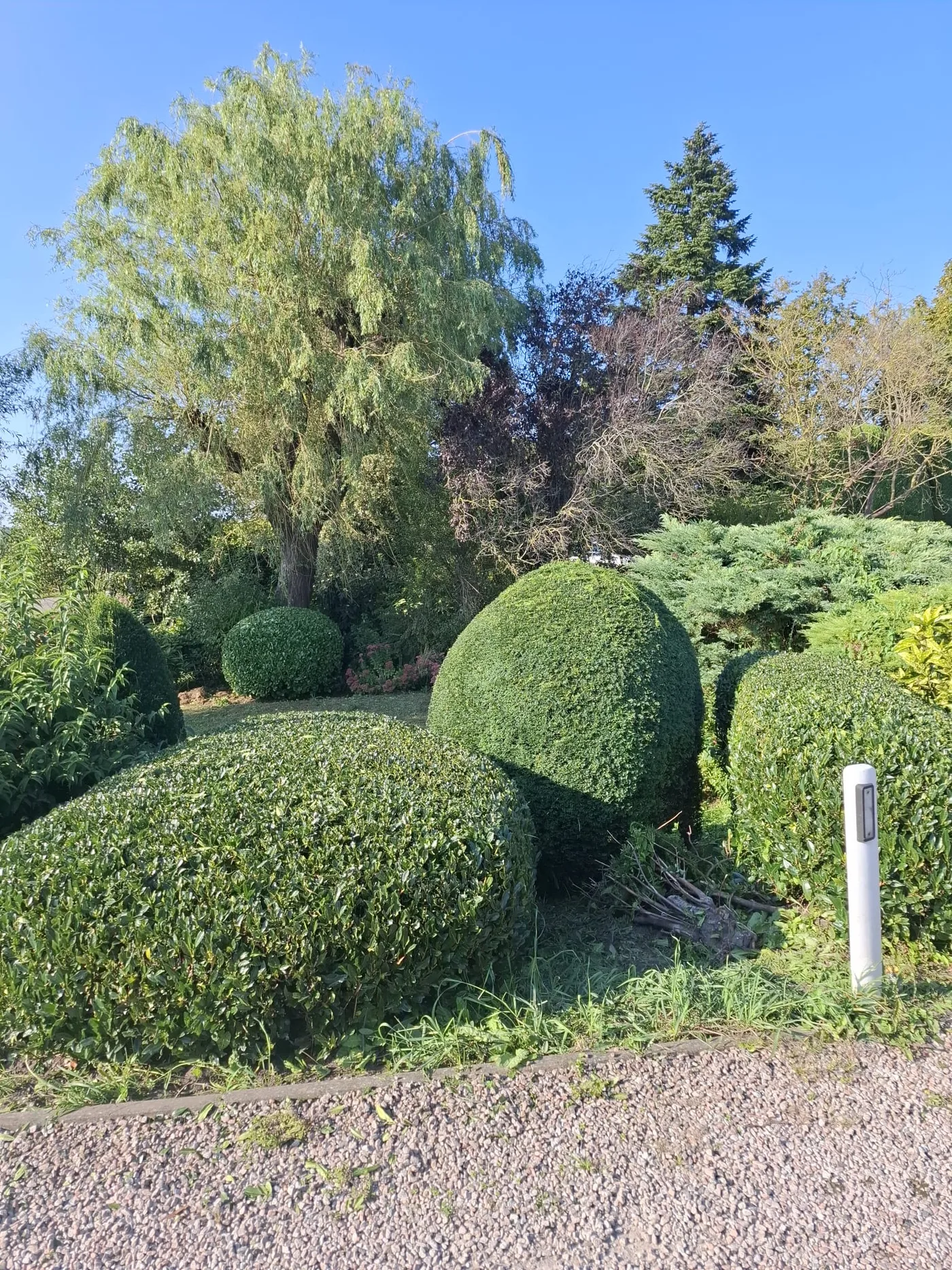 Groenvoorziening Schelluinen in Schelluinen